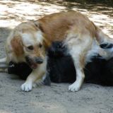 2015_78_bella und ming